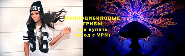 бошки Тольятти